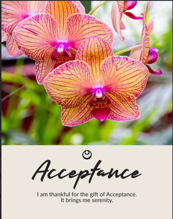 The Virtues Reflection Cards 2021 Version, 100 Spiritual Growth Cards for Character Development and Values - Image 3