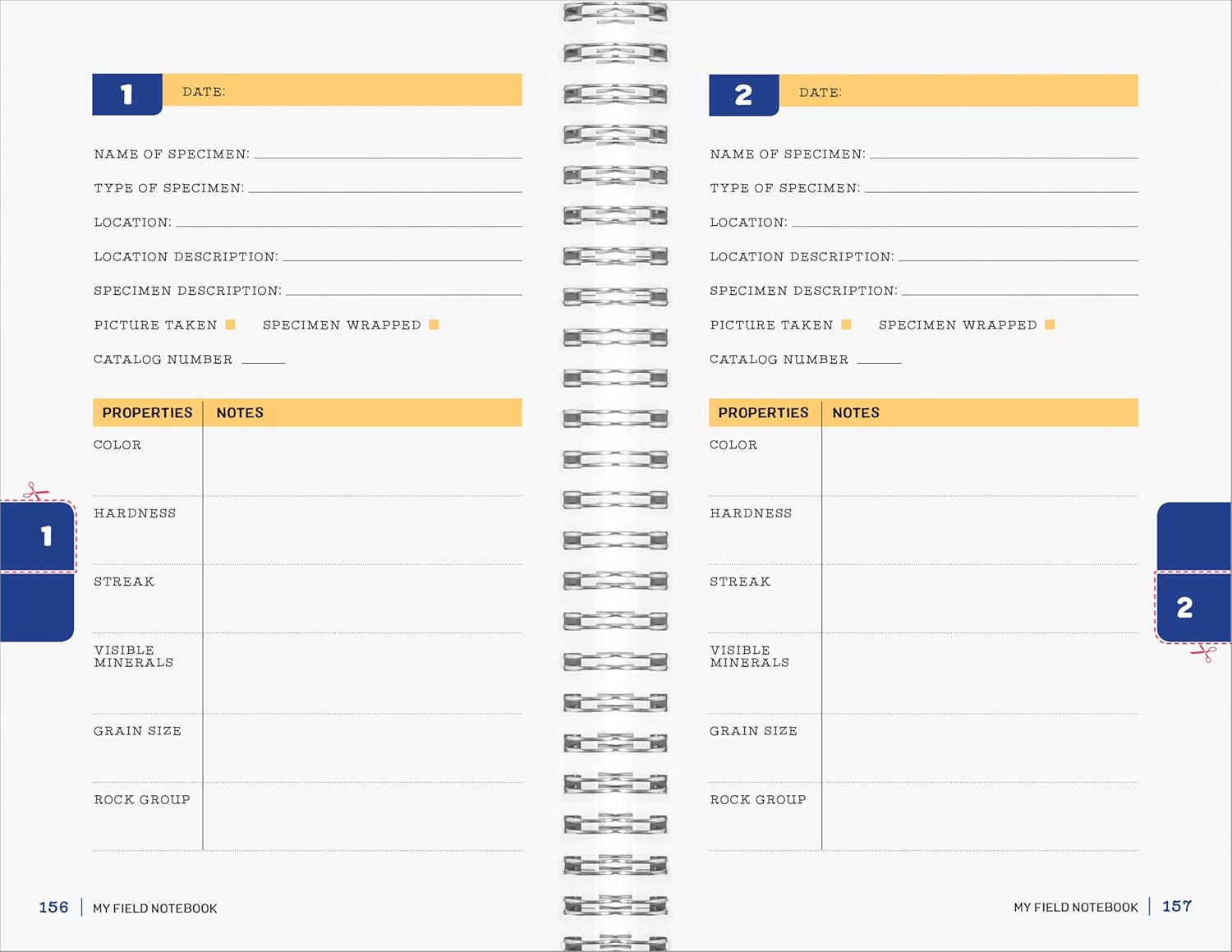 My Awesome Field Guide to Rocks and Minerals: Track and Identify Your Treasures - Image 9