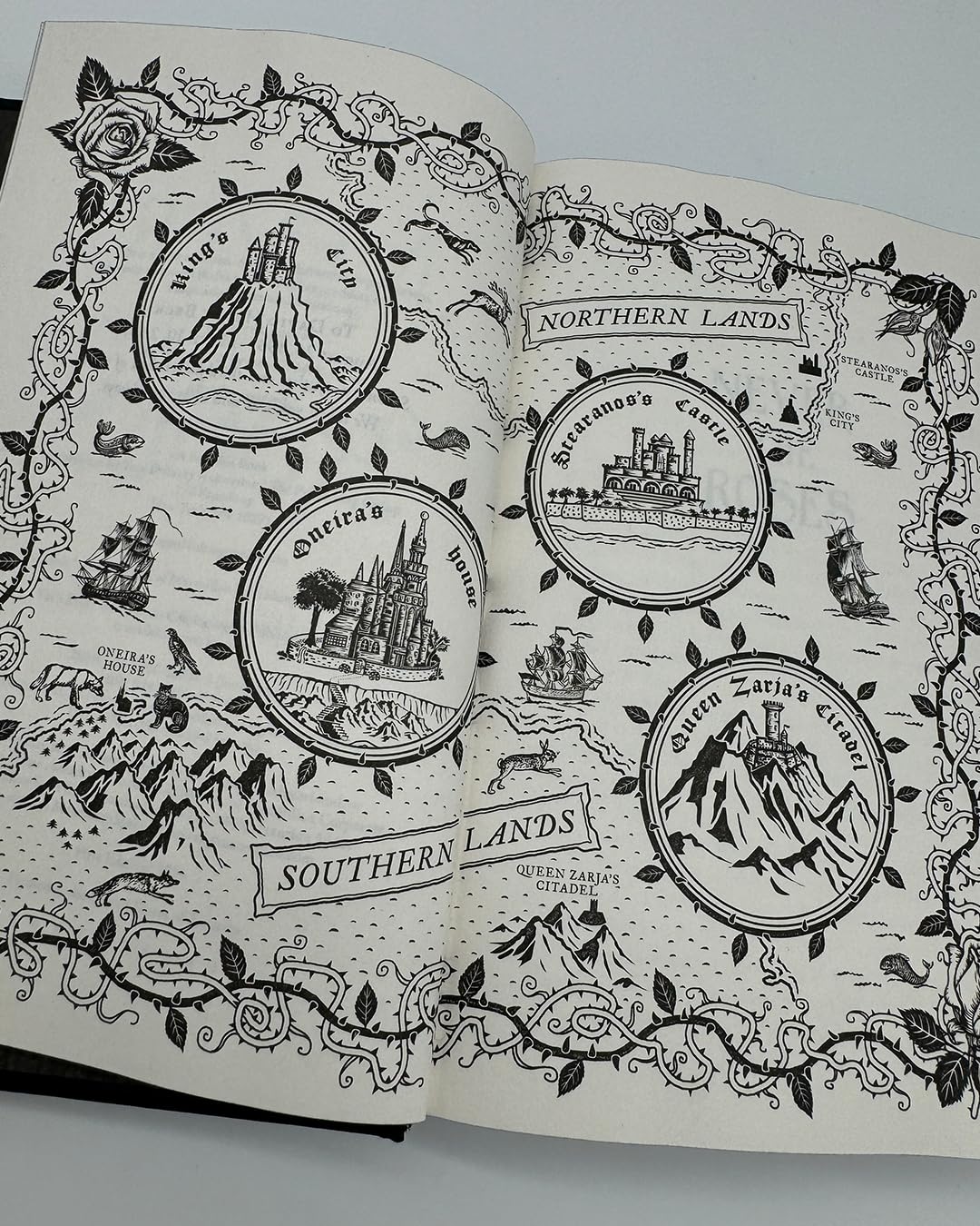 Never the Roses - Image 4