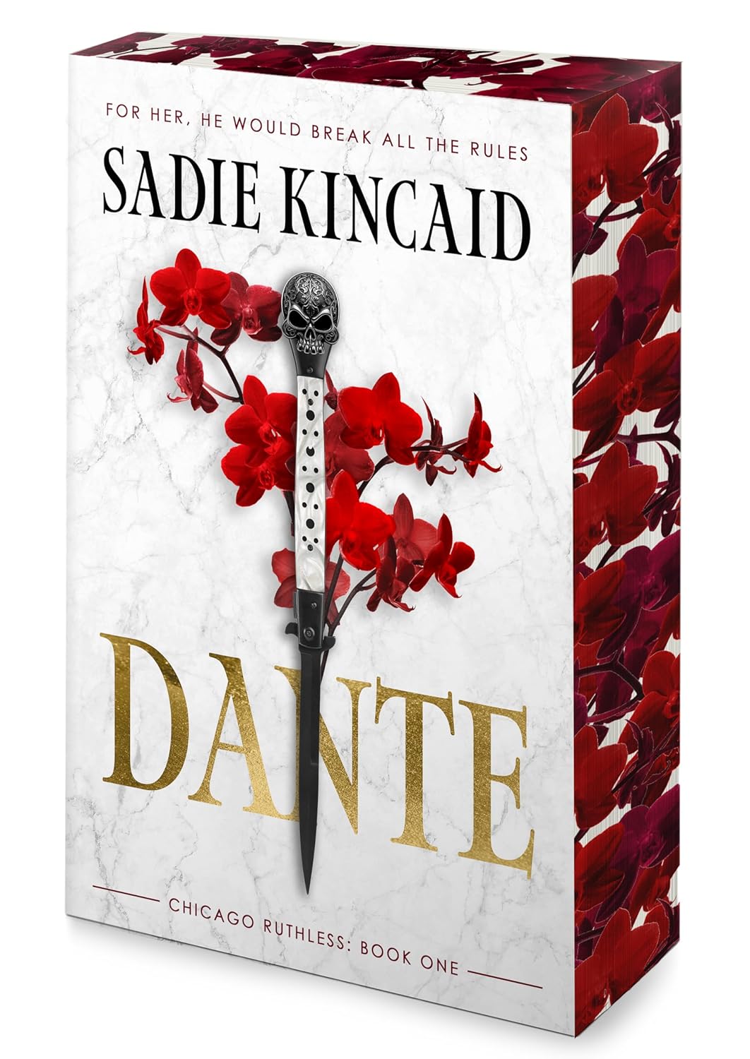 Dante: A Dark Mafia, Enemies to Lovers Romance (Chicago Ruthless, 1) - Image 2
