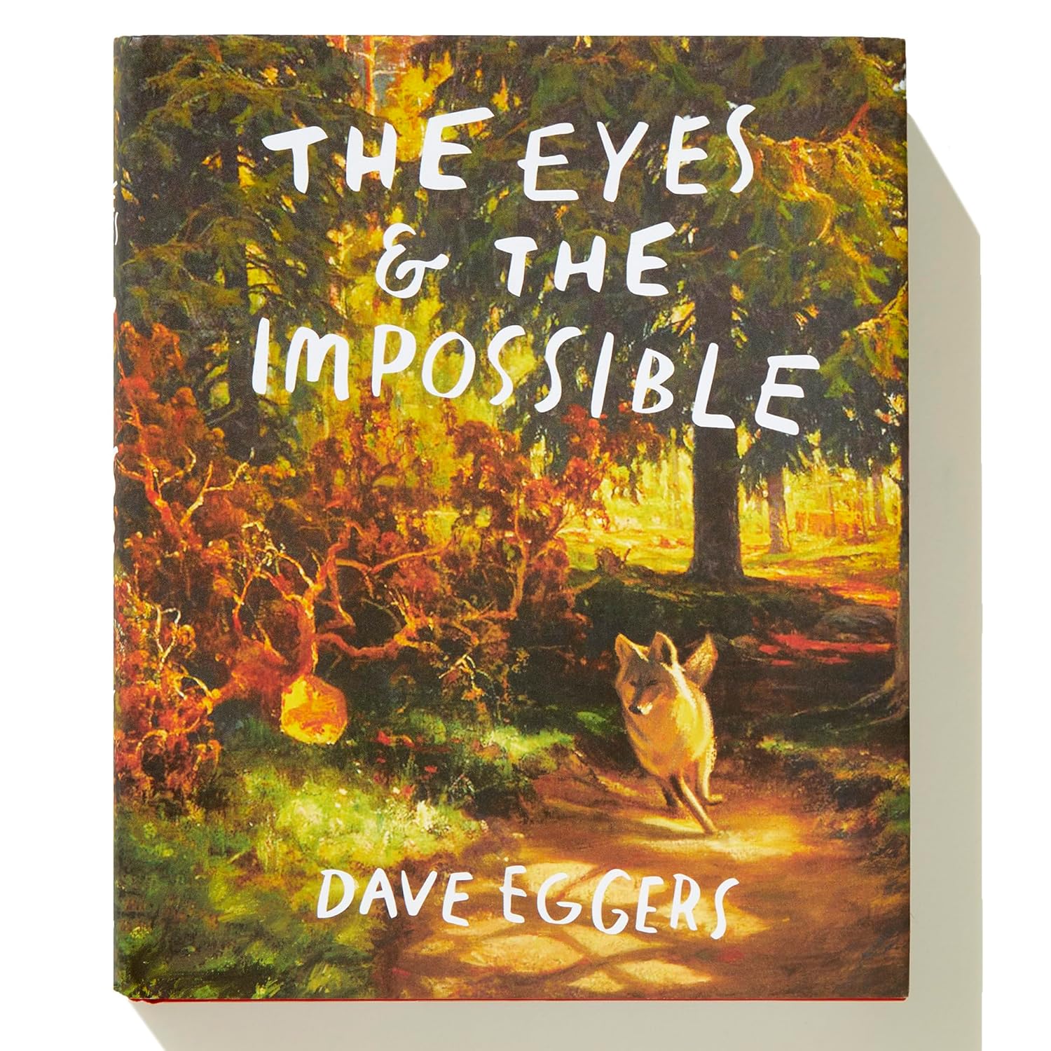 The Eyes and the Impossible: (Newbery Medal Winner) - Image 8