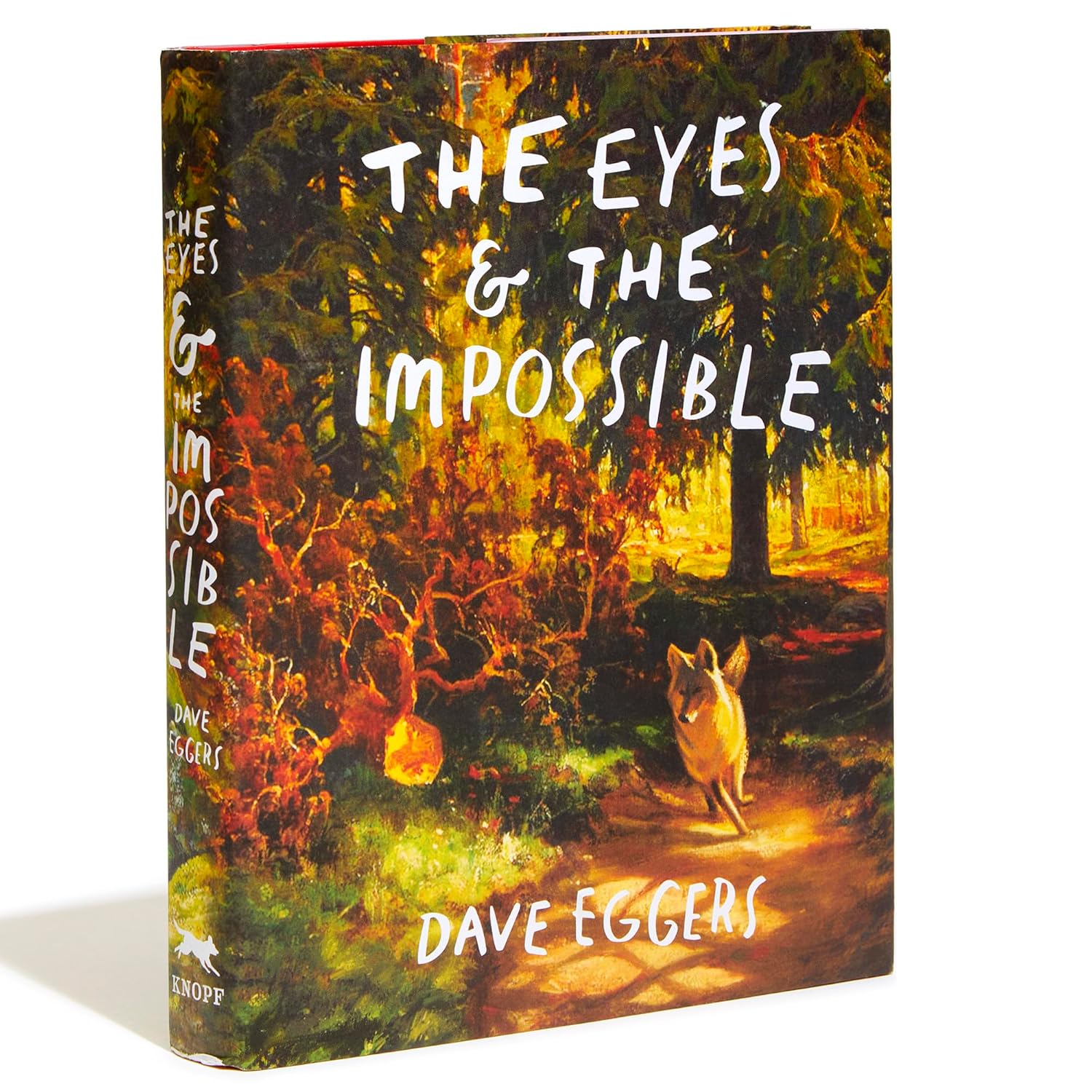 The Eyes and the Impossible: (Newbery Medal Winner) - Image 4