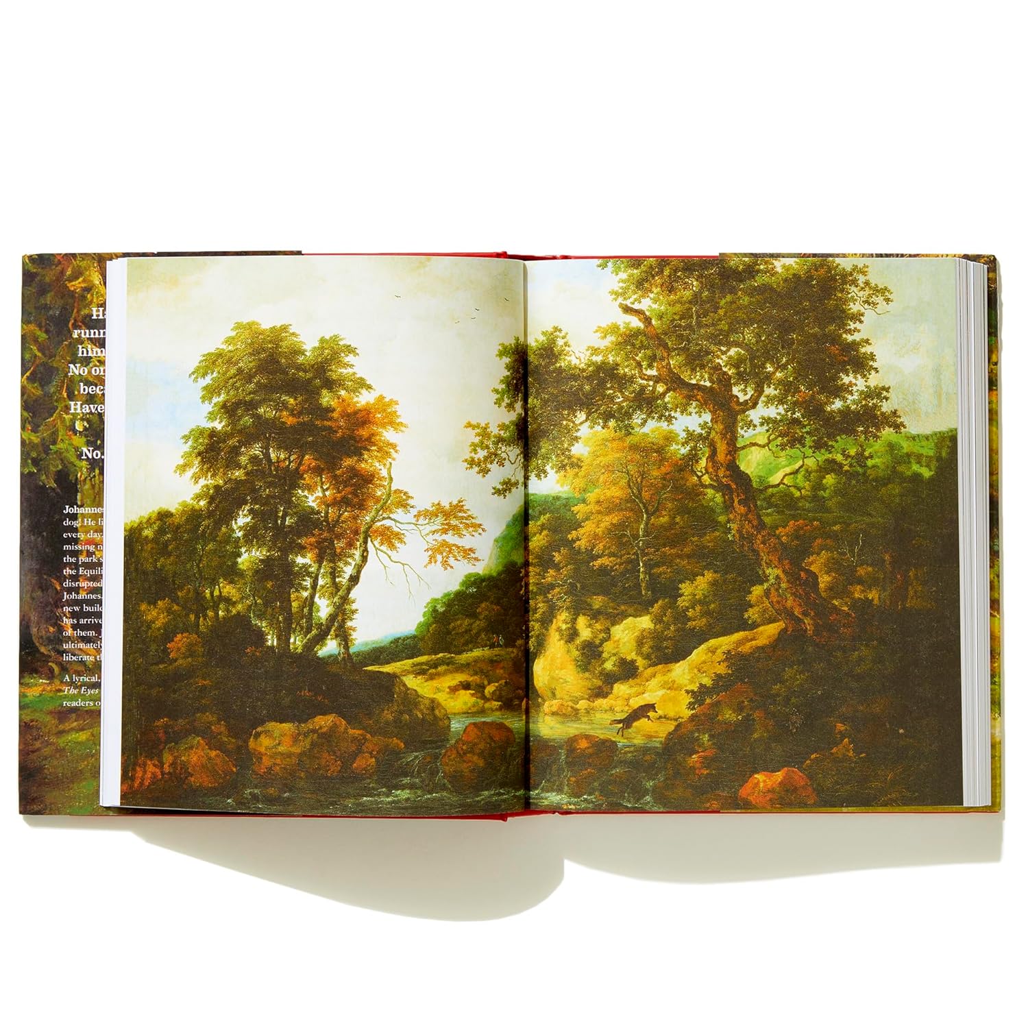 The Eyes and the Impossible: (Newbery Medal Winner) - Image 11