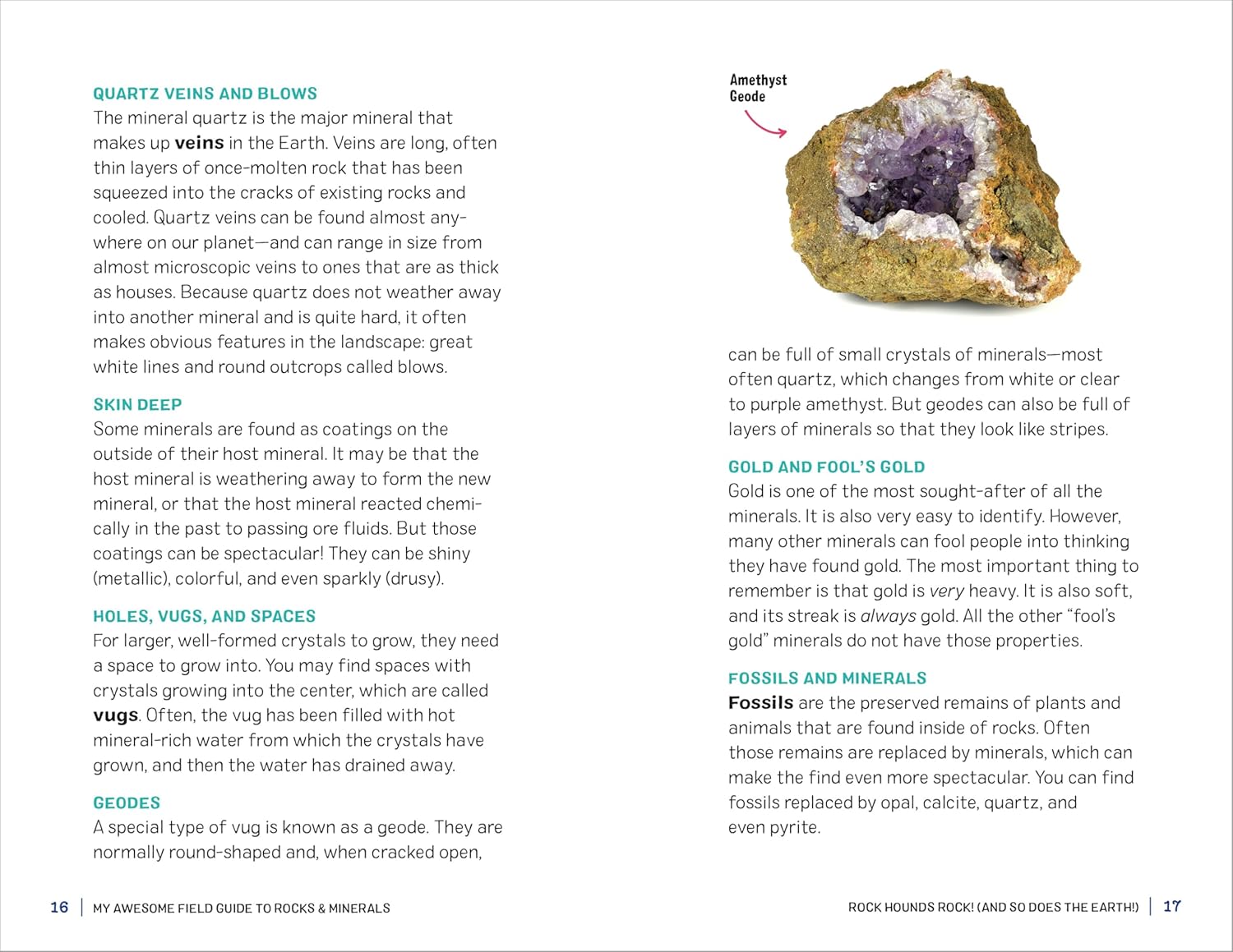My Awesome Field Guide to Rocks and Minerals: Track and Identify Your Treasures - Image 8