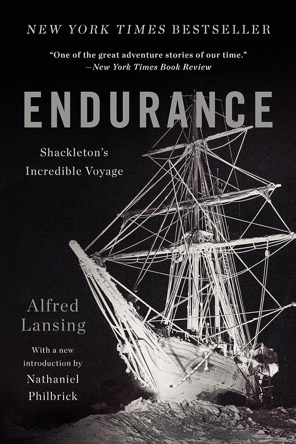Endurance: Shackleton's Incredible Voyage - Image 2